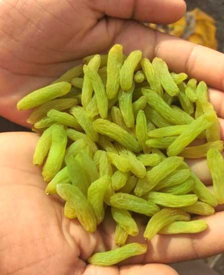 kismis supplier in sangli, india