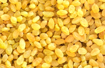 Sangli Golden Round Raisins Exporter, Wholesaler, Stockiest