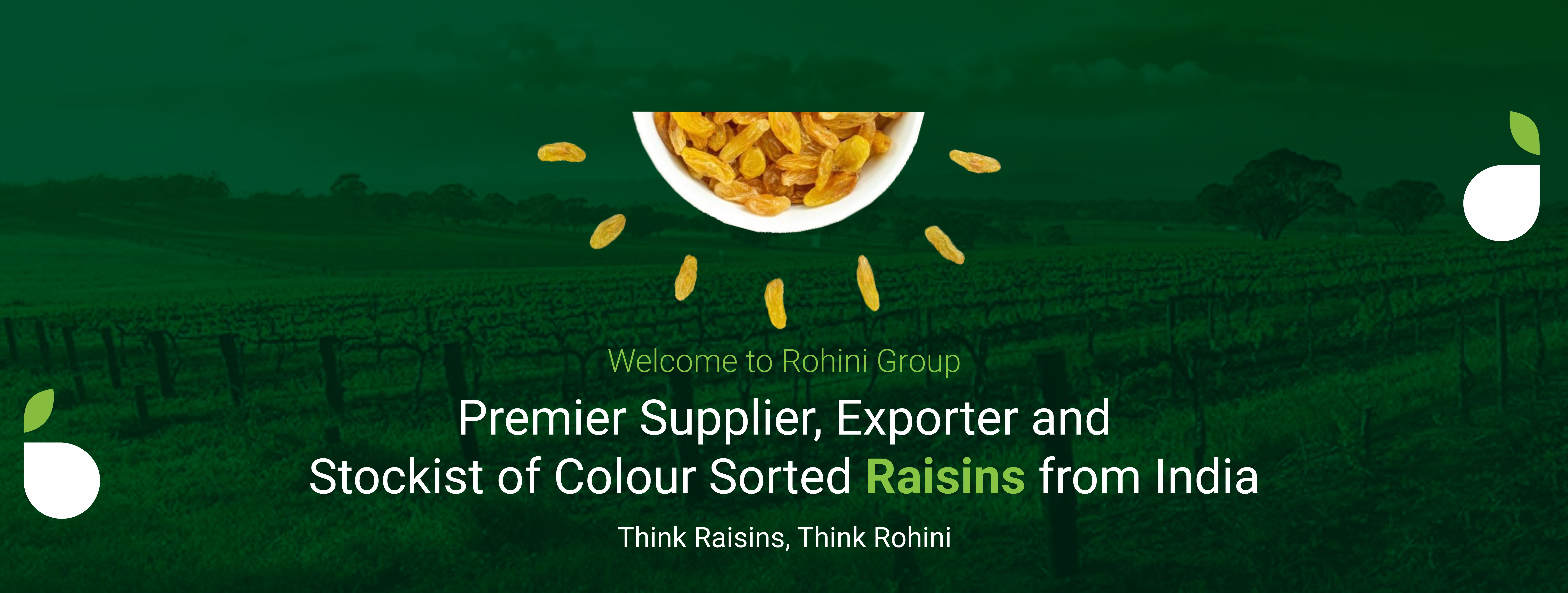 raisins supplier in sangli, india